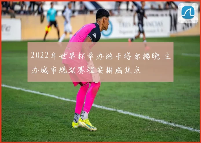 2022年世界杯举办地卡塔尔揭晓 主办城市规划赛程安排成焦点