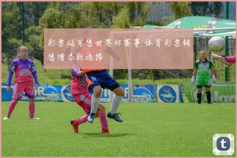 彩票站可售世界杯赛事 体育彩票销售增添新选择