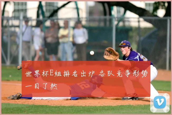 世界杯E组排名出炉 各队竞争形势一目了然