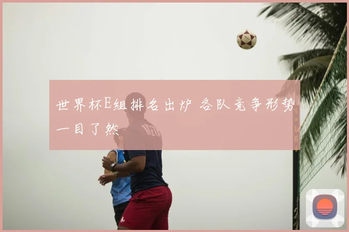 世界杯E组排名出炉 各队竞争形势一目了然